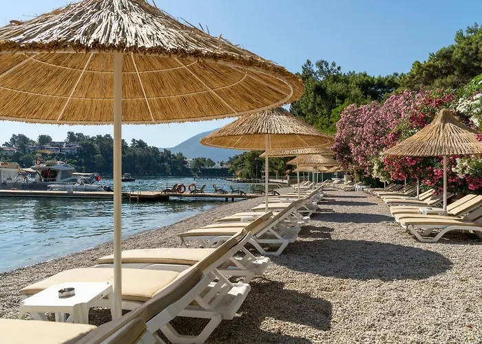 Alesta Midtown Apart Otel 4*