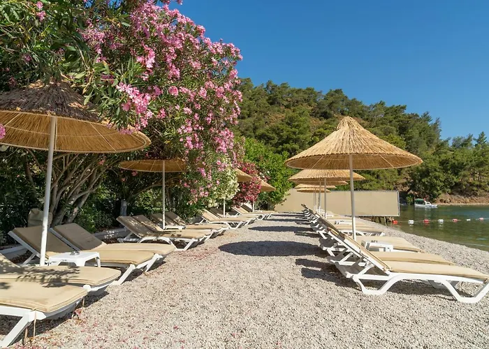 Alesta Midtown Apart Otel 4*