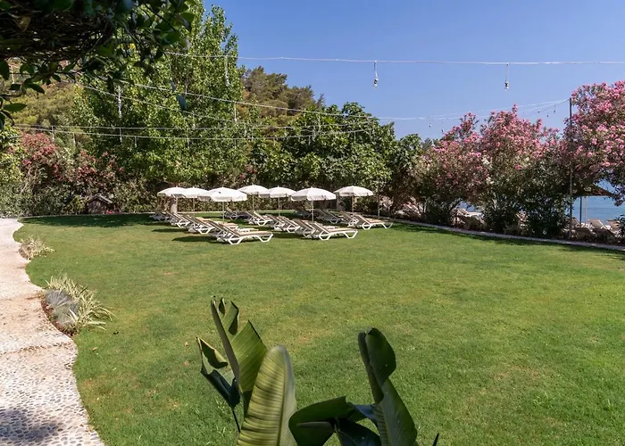 Apart Otel Alesta Midtown